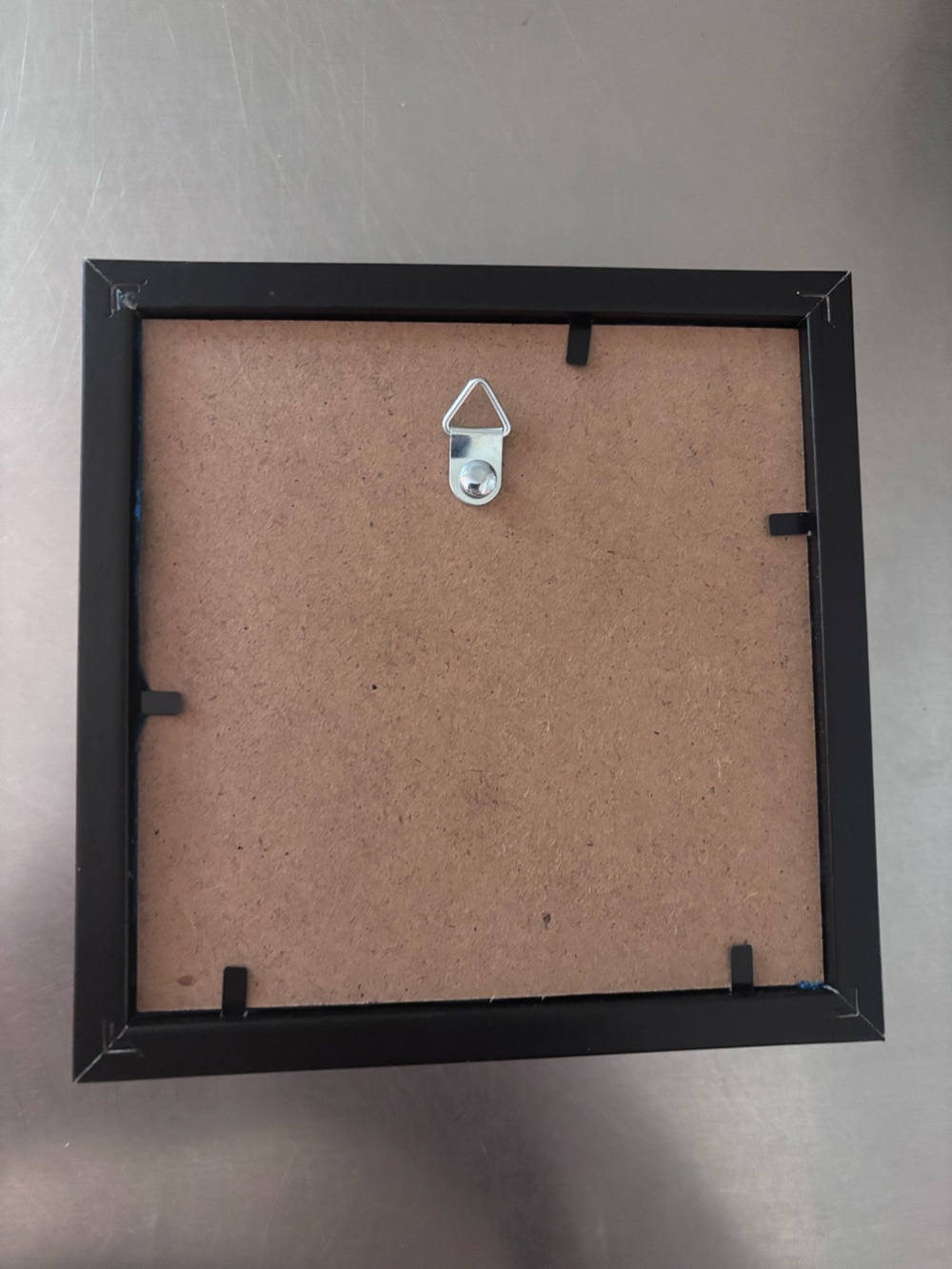 Framed Leaf Insect Specimen - Picture 4 of 4